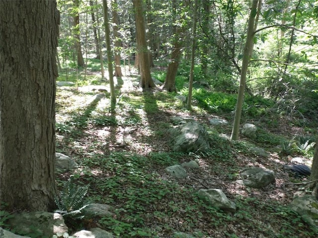 Bell Hollow Rd, Putnam Valley, NY 10579 - photo 6