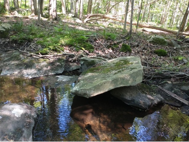 Bell Hollow Rd, Putnam Valley, NY 10579 - photo 7