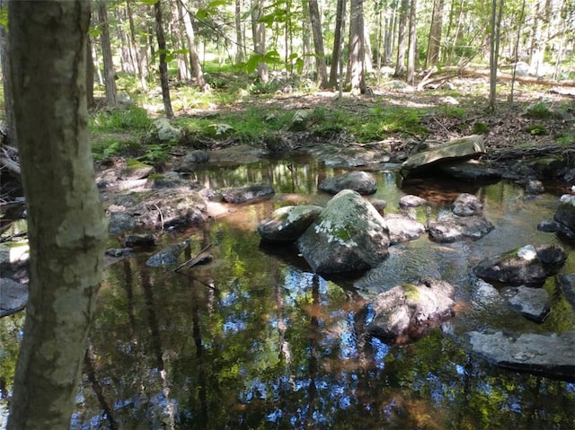 Bell Hollow Rd, Putnam Valley, NY 10579 - photo 8