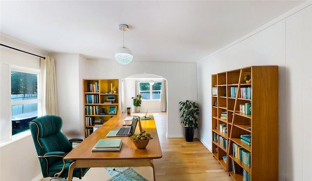 office space with crown molding and light hardwood / wood-style flooring