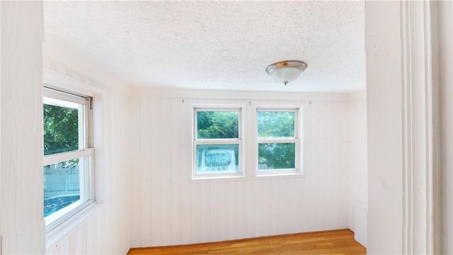 unfurnished room featuring light wood-type flooring, a wealth of natural light, and wood walls