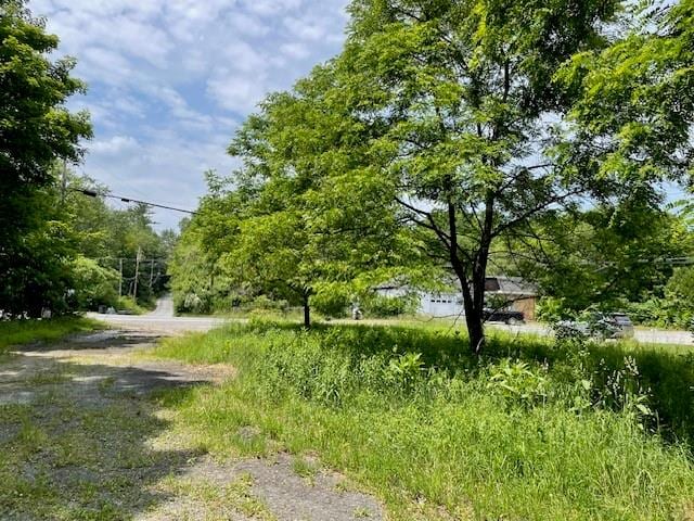 4714 State Route 55, Bethel NY, 12720 land for sale