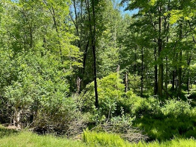 Cherry St, Bethel NY, 12720 land for sale