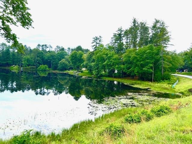 Listing photo 3 for LOT8.4 Beaver Brook Rd, Yulan NY 12792