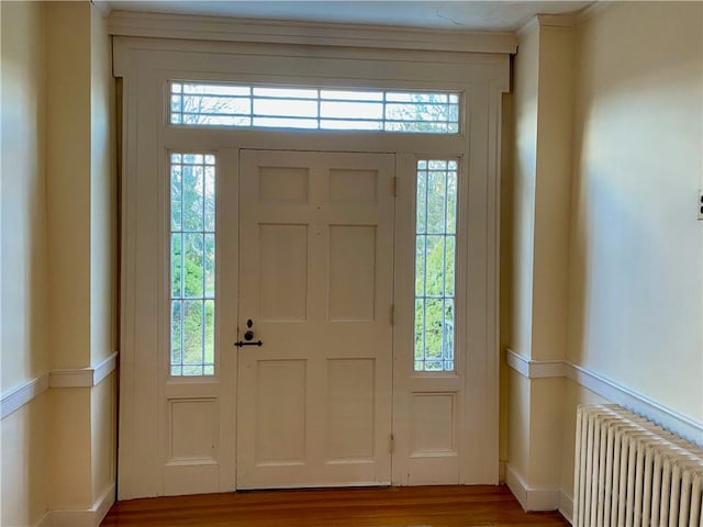 foyer entrance with wood-type flooring, radiator heating unit, and a wealth of natural light