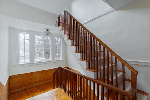 stairway with wood-type flooring and wooden walls