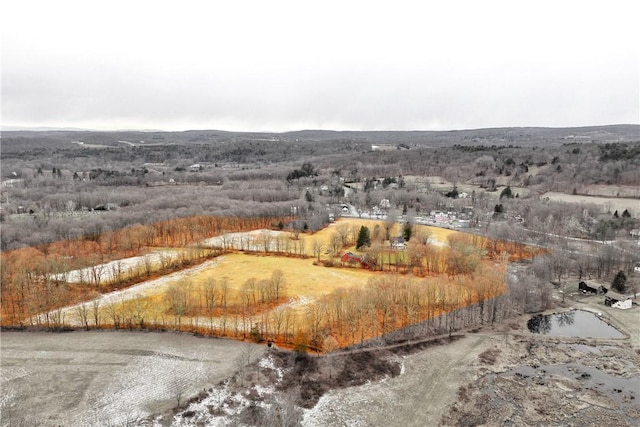 aerial view with a water view and a rural view