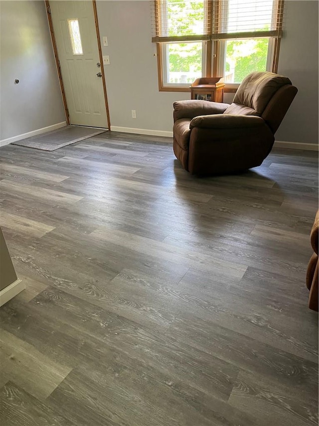 interior space with dark hardwood / wood-style floors