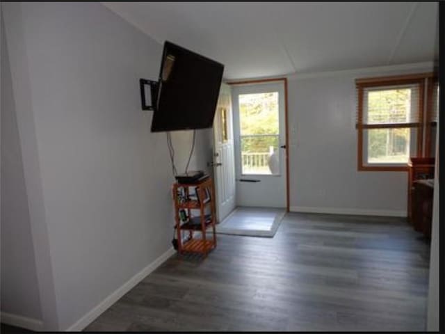 doorway to outside with dark hardwood / wood-style floors