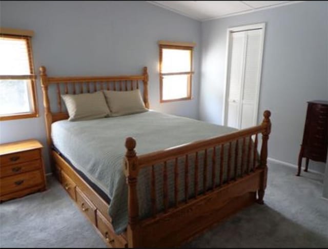 carpeted bedroom featuring a closet and multiple windows