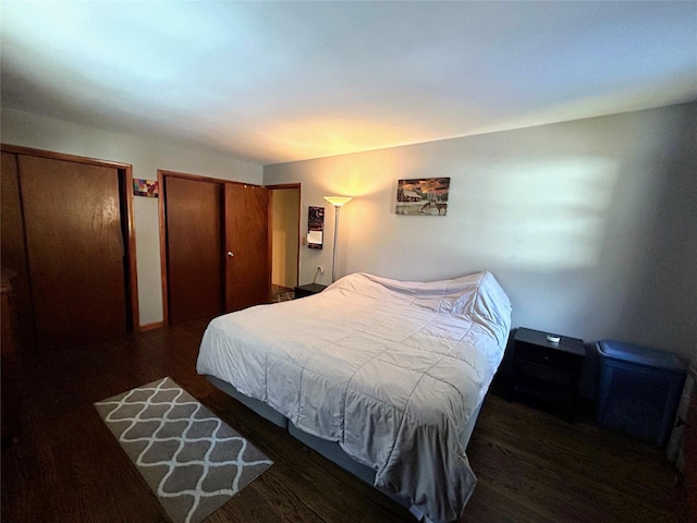 bedroom featuring two closets and dark hardwood / wood-style floors