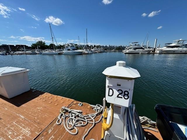 dock area featuring a water view