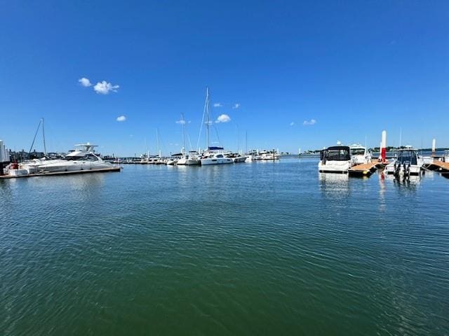 view of water feature with a boat dock