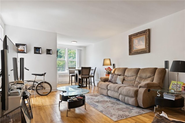 living room featuring radiator and light hardwood / wood-style flooring