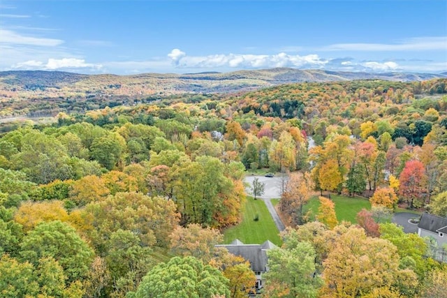 drone / aerial view with a mountain view