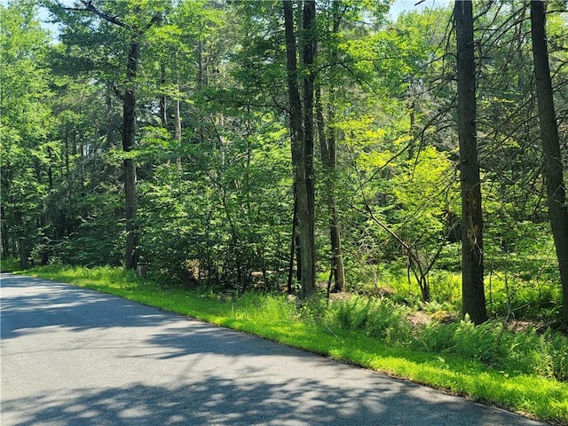 Dill Rd, Forestburgh NY, 12777 land for sale