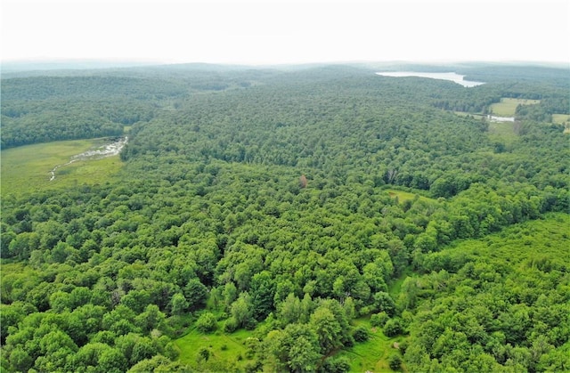 TBD Mitchell Rd, White Lake NY, 12786 land for sale