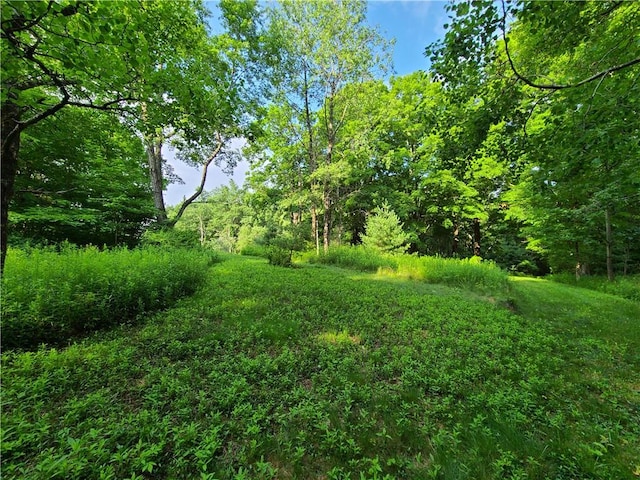 Listing photo 3 for TBD Mitchell Rd, White Lake NY 12786