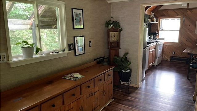 hall with dark hardwood / wood-style floors, a healthy amount of sunlight, and wooden walls