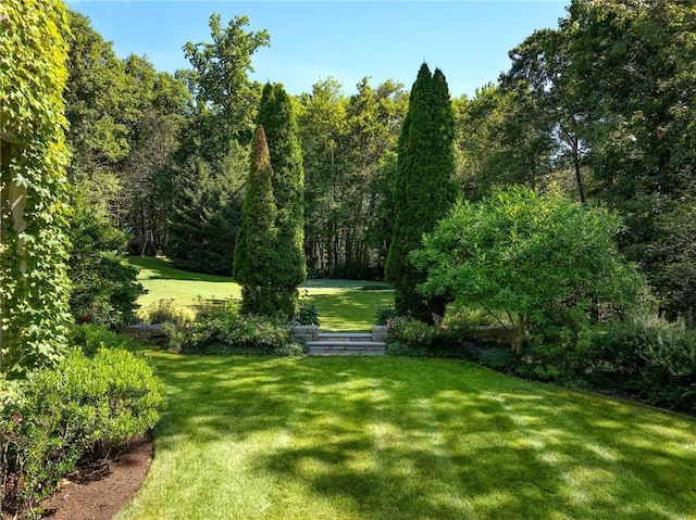 view of home's community featuring a yard