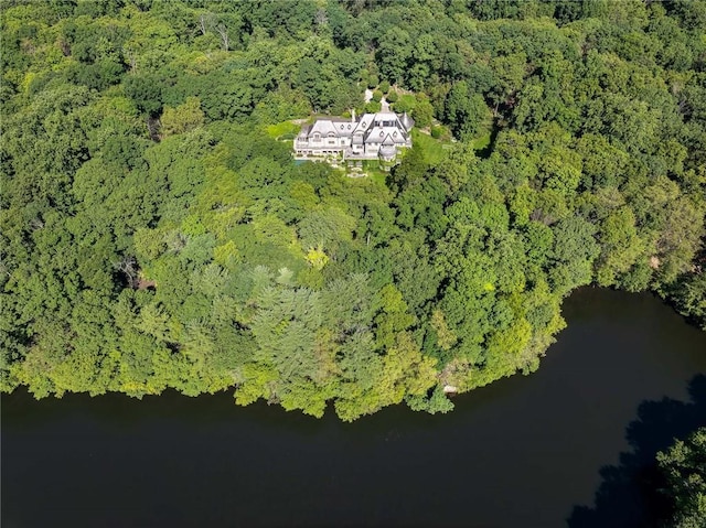 birds eye view of property featuring a forest view and a water view