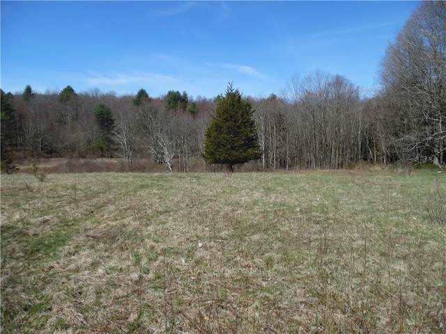 Creamery Rd, Bethel NY, 12720 land for sale