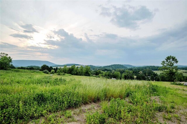 390 Carpenter Hill Rd, Pine Plains, NY 12567 - photo 1