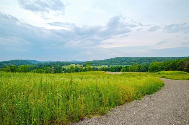 390 Carpenter Hill Rd, Pine Plains, NY 12567 - photo 2