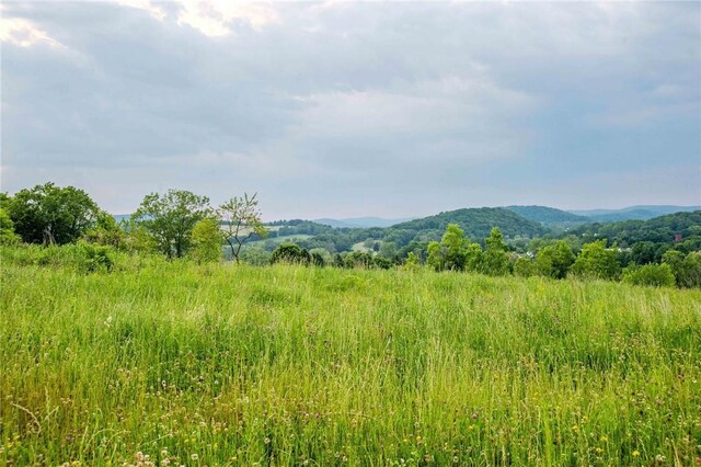 390 Carpenter Hill Rd, Pine Plains, NY 12567 - photo 3