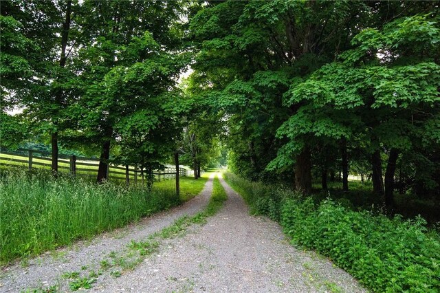 390 Carpenter Hill Rd, Pine Plains, NY 12567 - photo 4
