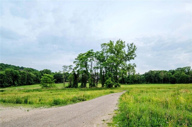 390 Carpenter Hill Rd, Pine Plains, NY 12567 - photo 5