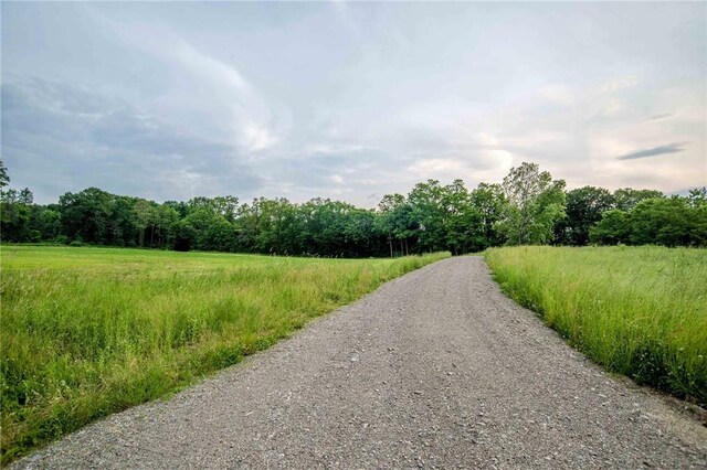 390 Carpenter Hill Rd, Pine Plains, NY 12567 - photo 6