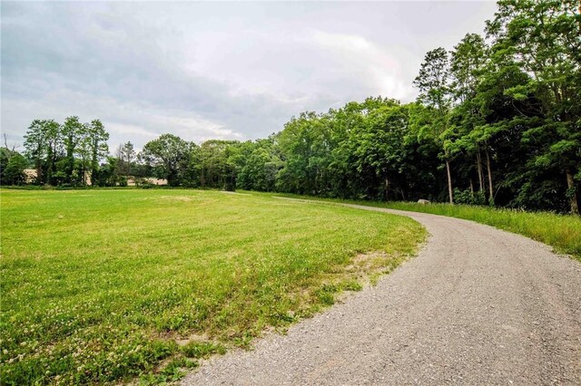390 Carpenter Hill Rd, Pine Plains, NY 12567 - photo 7