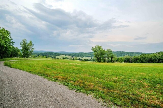 390 Carpenter Hill Rd, Pine Plains, NY 12567 - photo 8