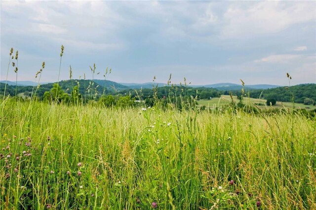 390 Carpenter Hill Rd, Pine Plains, NY 12567 - photo 10