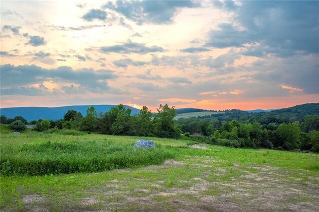 390 Carpenter Hill Rd, Pine Plains, NY 12567 - photo 11