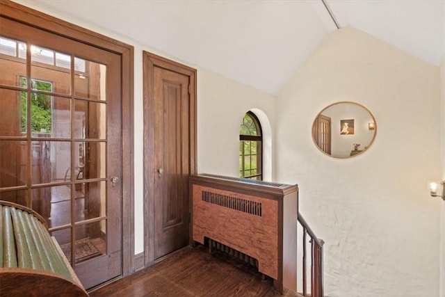 interior space featuring vaulted ceiling and dark wood-type flooring