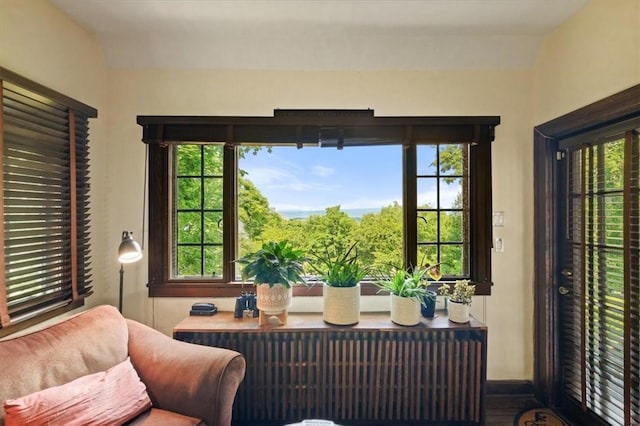 sunroom / solarium featuring radiator heating unit, a wealth of natural light, and lofted ceiling