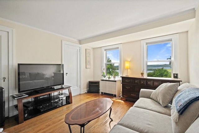 living room featuring radiator, light hardwood / wood-style floors, and ornamental molding