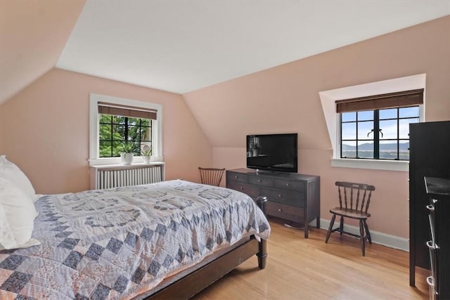 bedroom featuring light hardwood / wood-style flooring and lofted ceiling