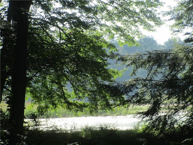 view of local wilderness featuring a water view