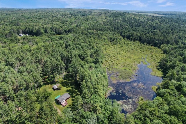 1124 State Route 42, Sparrowbush, NY 12780 - aerial view of a heavily wooded area