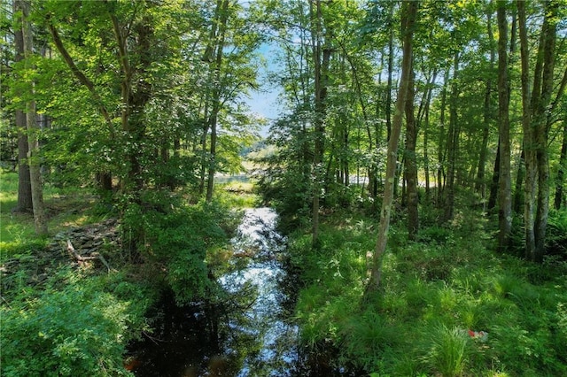1124 State Route 42, Sparrowbush, NY 12780 - view of undeveloped land