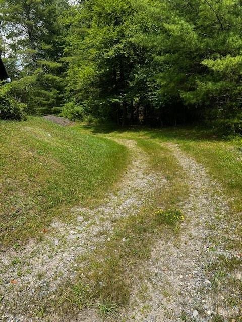 1124 State Route 42, Sparrowbush, NY 12780 - view of road featuring a wooded view