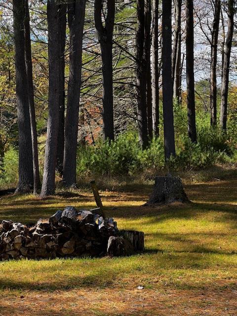 1124 State Route 42, Sparrowbush, NY 12780 - view of yard