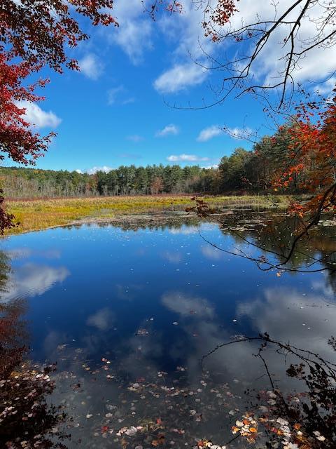 1124 State Route 42, Sparrowbush, NY 12780 - water view with a forest