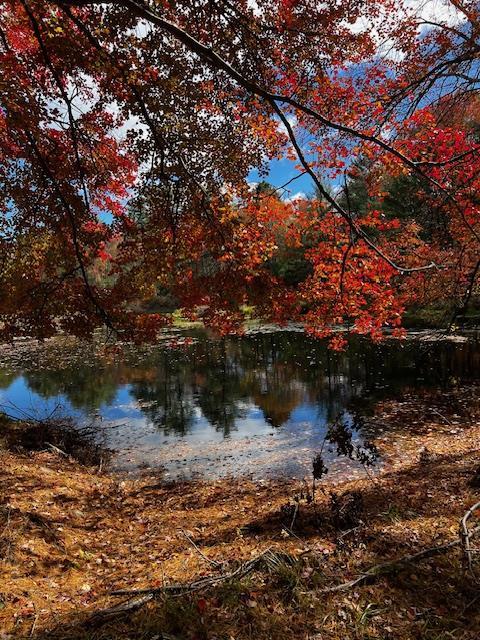 1124 State Route 42, Sparrowbush, NY 12780 - water view