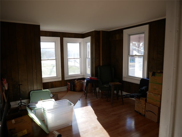 office space with hardwood / wood-style floors and wood walls