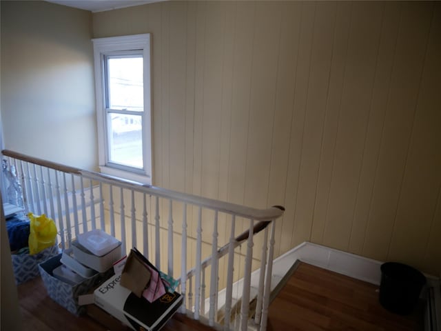 staircase with wood-type flooring and wooden walls