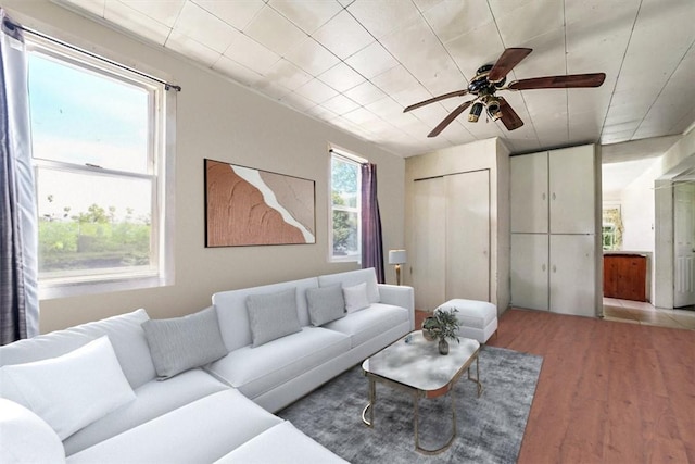 living room featuring hardwood / wood-style flooring and ceiling fan